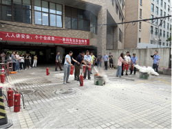 图片8